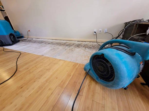 Professional Water Damage Repair technician working in Sunol, CA